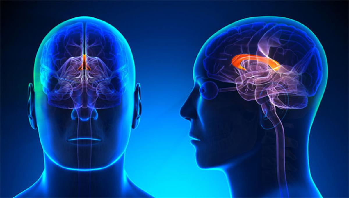 Moral reasoning linked to more gray matter in brain